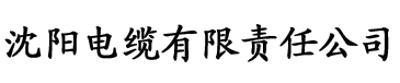 四虎免费在线观看视频电缆厂logo